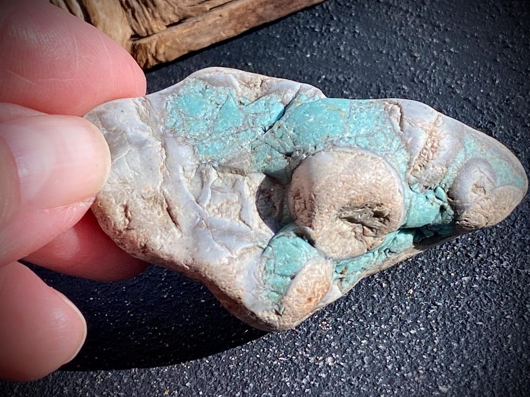 Pebble Rarest Stone Unusual Collectible Sea Lava Pebble for Marine Collectors Unique ...