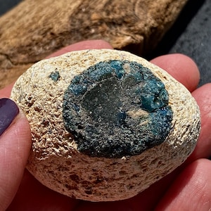 May include: A close-up of a light beige rock with a dark blue, green, and black circular pattern embedded in the center.