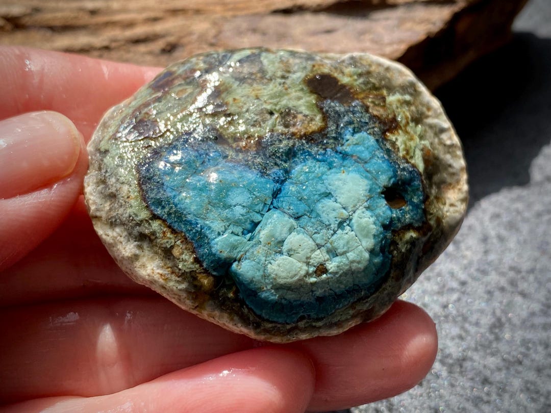 Rare Sea Rocks Absolutely Unique Mosaic Sea Stone for a Beautiful Gift for Rock Lovers ...