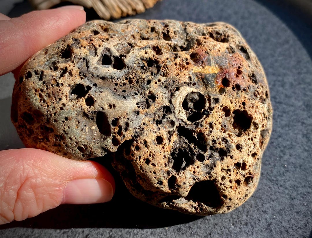 Pebble Rarest Stone Unusual Collectible Sea Lava Pebble for Marine Collectors Unique ...