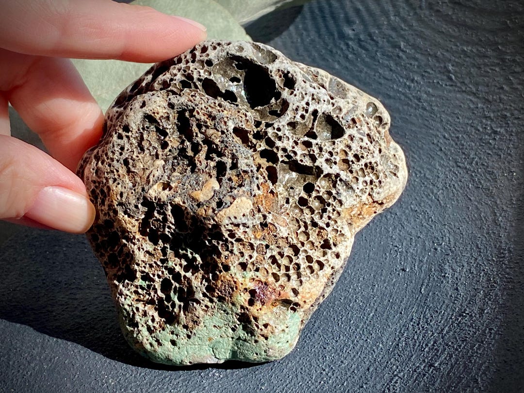 Pebble Rarest Stone Unusual Collectible Sea Lava Pebble for Marine Collectors Unique ...