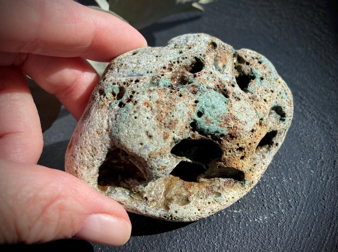 Pebble Rarest Stone Unusual Collectible Sea Lava Pebble for Marine Collectors Unique ...