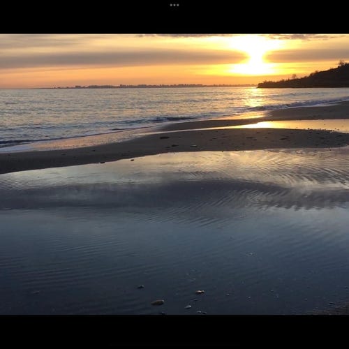 番号の入ったボトルの一部 希少なシーグラス 1927年 コレクション用の