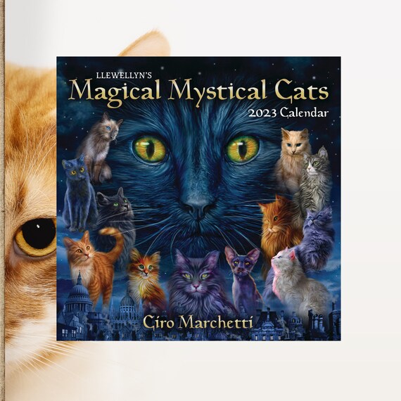 llewellyn-s-2021-magical-mystical-cats-calendar-llewellyn-9780738760377-books-amazon-ca