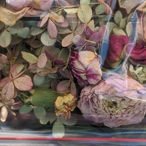 May include: A close-up of dried flowers in a clear plastic bag. The flowers are a mix of pink, purple, and green. The flowers are arranged in a random pattern.