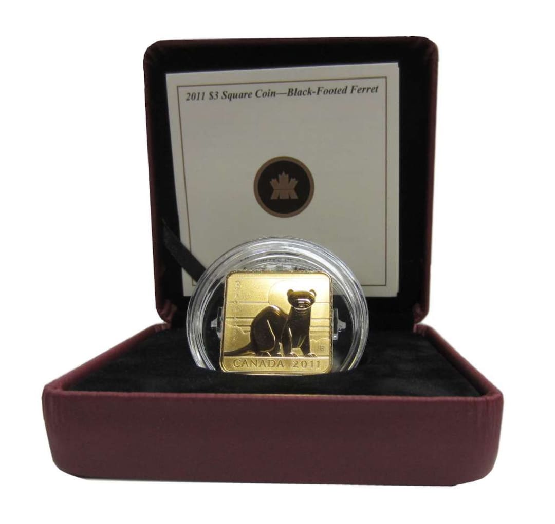 2011 3 Silver Square Coin With Goldplating Blackfooted Etsy