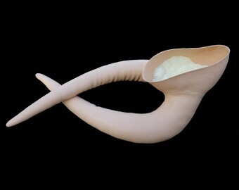 Hera Lekku - SILICONE Twi'lek Headpiece