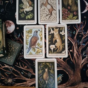 May include: A set of ten tarot cards featuring illustrations of animals and plants. The cards are arranged in a grid pattern on a dark floral fabric background. The cards are titled "The Owl and Hop", "The Goat and Willow", "The Bat and Hellebore", "The Quail and Blackberry", "The Coyote and Datura", "The Snail and Huckleberry".