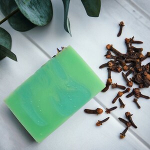 Groovy Wombat Bar Soap (Eucalyptus, Patchouli & Clove) - Vegan and Cruelty Free