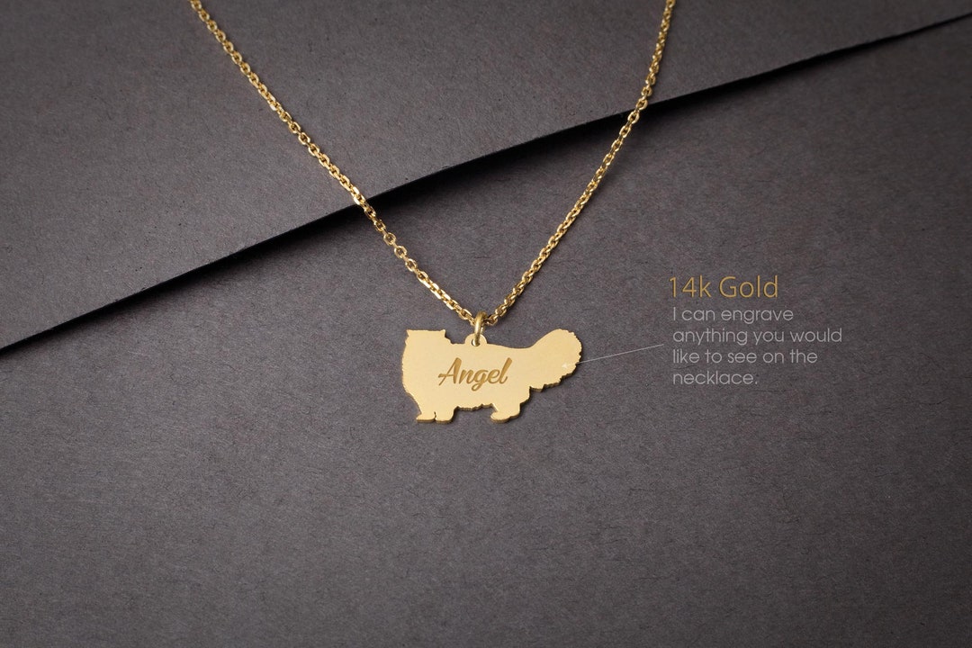14K Solid GOLD Tiny PERSIAN CAT Name Necklace Persian Cat Etsy
