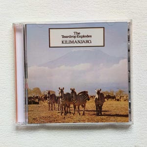 Può includere: Una custodia per CD con l'album "KILIMANJARO" dei The Teardrop Explodes. La copertina raffigura zebre in un paesaggio della savana con una montagna sullo sfondo. Il titolo dell'album è in un riquadro.