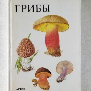 Vintage Botanical book Mushrooms Nature illustrated book Old book 1980s