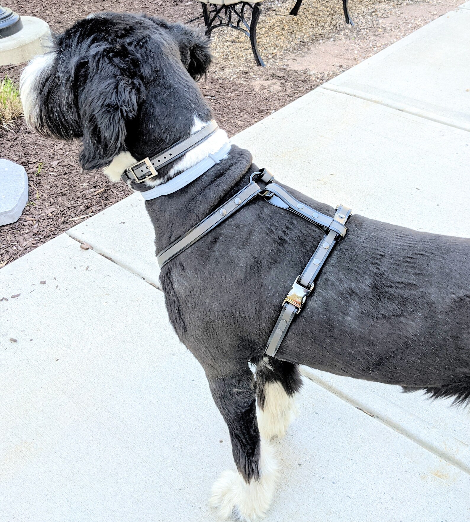 Custom made BioThane dog harness Etsy