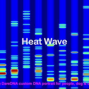 DNA Artwork: Wissenschaft und Kunst kombiniert in einer einzigartigen Leinwand - Science-Fiction Heat Map Wave SVG - Lehrer Schmuck Kunstwerk Klassenzimmer Dekor ADN
