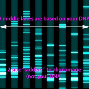 DNA Wall Decor: Your DNA as a Stunning Artwork, Hot Pink Barbie Science Pet Biology Print Wall Canvas, Genes Teacher Baby Gifts PCR Genetics image 3