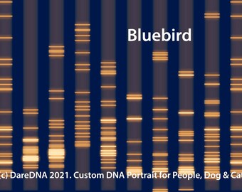 Custom DNA Portrait for People, Dogs, and Cats - A Special Family Tribute, PCR Electrophoresis DareDNA, canvas biology prints wall décor DNS