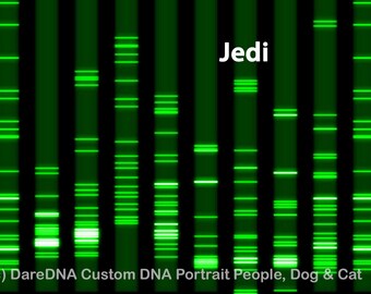 Custom Genetic Masterpiece: Your DNA Transformed into Art, Star Wars Jedi SVG Wall Art Gifts, Geek Scientist Dogs Cats, Banner Decal Display