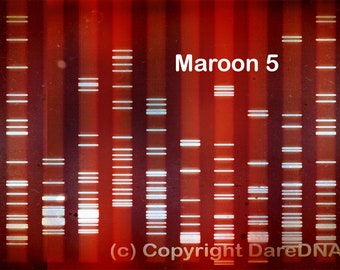 DNA Art Canvases: Celebrate Your Unique Genetic Blueprint - Molecular biology maroon Genetics gel Electrophoresis - science Medical artwork