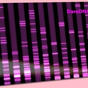 Custom Genetic Art: Unleash Your DNA's Beauty, Fire Pets Personalized Art, DareDNA Dare SVG Genetics Medical Modern, RNA Molecular Biology image 6