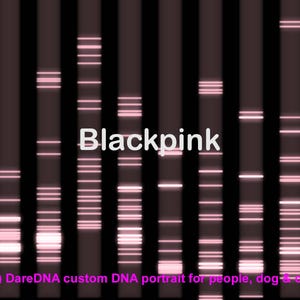 Könnte beinhalten: Ein DNA-Porträt der K-Pop-Gruppe Blackpink, erstellt von DareDNA. Das Porträt besteht aus einer Reihe vertikaler Linien, die jeweils ein anderes Gen repräsentieren. Die Linien sind rosa und weiß und in einem Muster angeordnet, das für jedes Mitglied der Gruppe einzigartig ist.