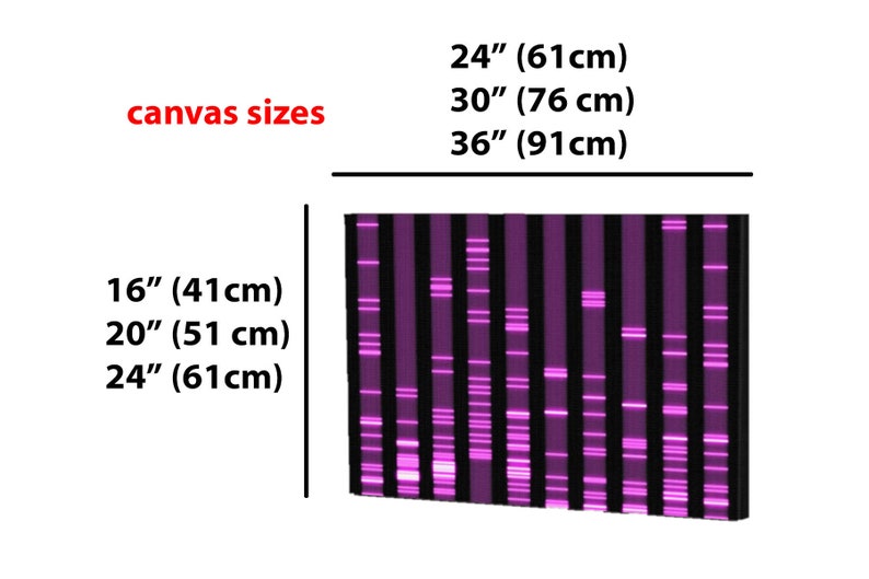 DNA Wall Decor: Your DNA as a Stunning Artwork, Hot Pink Barbie Science Pet Biology Print Wall Canvas, Genes Teacher Baby Gifts PCR Genetics image 5
