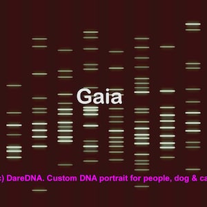 Custom DNA Portrait for People, Dogs, and Cats - A Special Family Tribute, PCR Electrophoresis DareDNA, canvas biology prints wall décor DNS