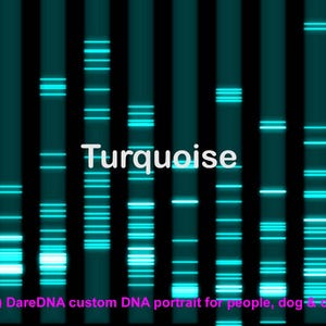 Unique DNA Wall Art - Your Genetic Code as a Visual Masterpiece, molecular biology image from people dogs cats, turquoise jewelry metal wall
