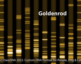 DNA Art Prints: A Window into Your DNA Code, Golden Custom Science Molecular Biology, Canvas Prints Fall DareDNA, Personalized ADN Portraits