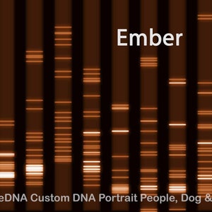 Custom Genetic Art: Unleash Your DNA's Beauty, Fire Pets Personalized Art, DareDNA Dare SVG Genetics Medical Modern, RNA Molecular Biology image 1