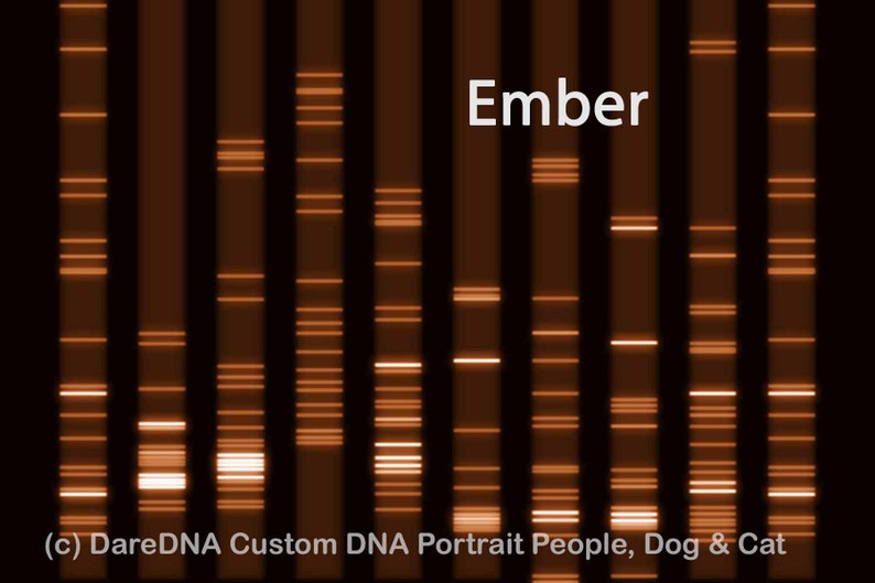 Custom Genetic Art: Unleash Your DNA's Beauty, Fire Pets Personalized Art, DareDNA Dare SVG Genetics Medical Modern, RNA Molecular Biology image 1