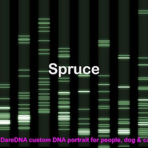 Personalized DNA Art: Your Unique Genetic Code in Stunning Colors, Science Molecular Genetics Canvas Prints, Custom Pets Memorials Dogs Cats