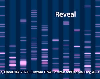 DNA Portrait - A One-of-a-Kind, Personalized Artwork, DNS Art Custom digital paintings artworks drawings illustrations, babies gender reveal