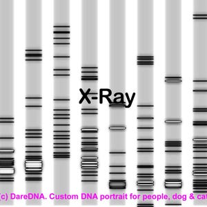 Cherish Your DNA: Custom Artwork for Genetic Enthusiasts - SVG Metal Canvas Print Gift, Genetics Medical Black White - Geneticist X Ray DNS