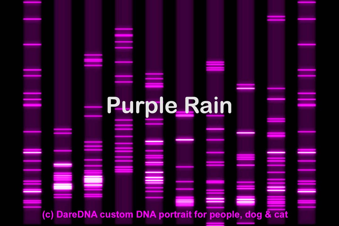 Unique Genetic Portrait: Your DNA as a Work of Art, People Dog Cat ...