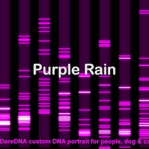 May include: A purple and white DNA portrait with the text "Purple Rain" and the copyright information "(c) DareDNA custom DNA portrait for people, dog & cat".