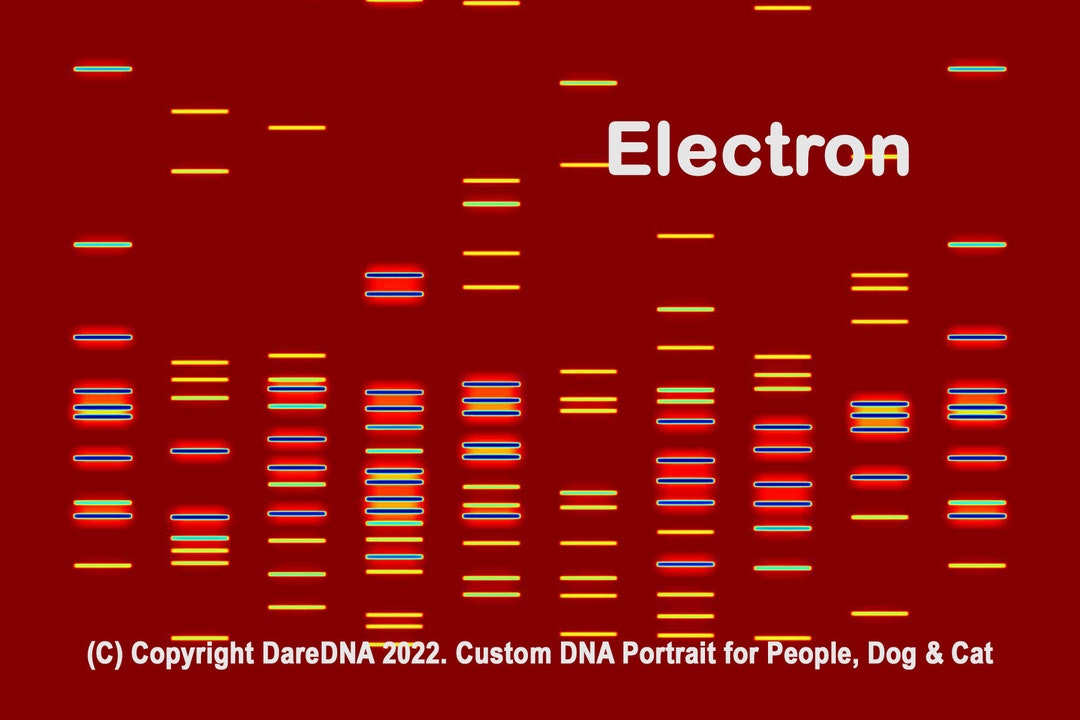 Personalized DNA Portrait A Unique Keepsake for People, Dogs, and Cats
