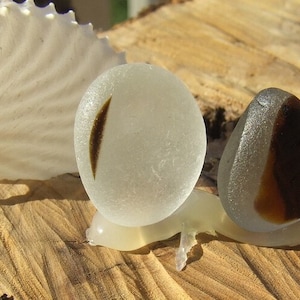Può includere: Tre pezzi di vetro di mare, uno bianco con una striscia marrone, uno marrone con una striscia bianca e una conchiglia bianca.