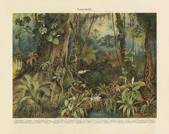 Botanische Decor Etsy