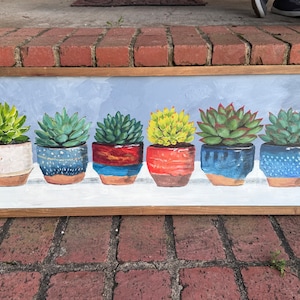 Row of Succulents