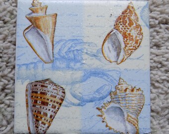 Sea Shells Ceramic Tile Coasters (set of 4)