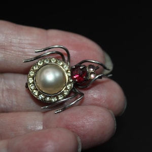 Puede incluir: Un broche de araña de plata con una perla y detalles de pedrería roja.