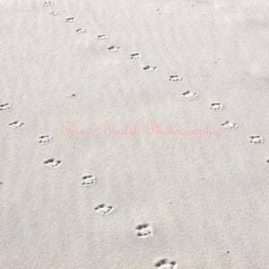 Footprints in the Sand , Beach Sand Paradise - Digital Download Photography - Wall Art Printable Photo