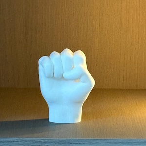 May include: A white sculpture of a clenched fist, a symbol of solidarity and strength. The hand is rendered in smooth, solid white, with detailed knuckles and a defined wrist. The sculpture is displayed on a wooden shelf against a warm, brown background.