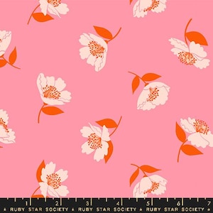 Juicy Fluttering in Sorbet Juicy Fluttering in Sorbet