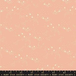 Dog Park | Field | Dahlia | Ruby Star Society Fabric