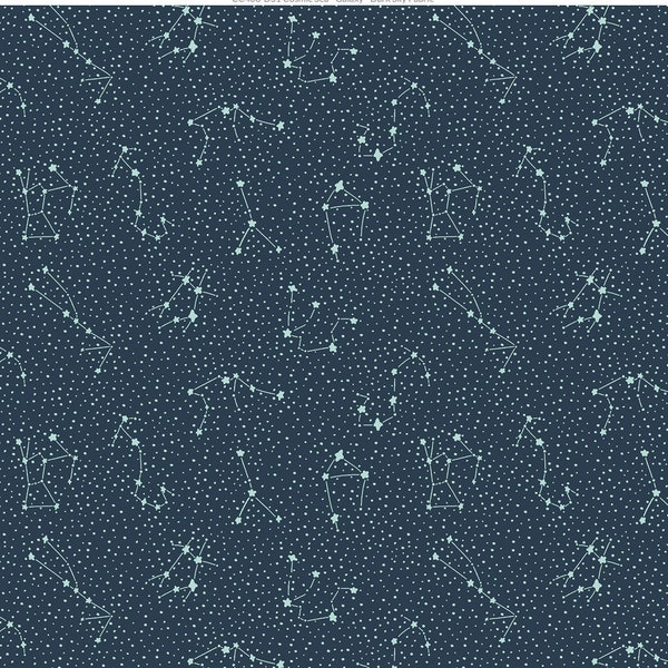 Cosmic Sea Galaxy ( Dark Sky ) Cotton + Steel Fabric