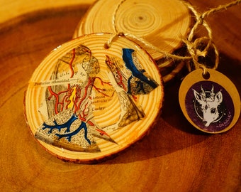 Veins + Tissue Anatomy Book Clippings on Wood Slice | Unusual & Strange Decor | Epoxy Resin Ornament