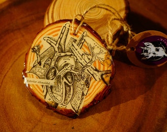 Heart + Lungs Anatomy Book Clippings on Wood Slice | Unusual & Strange Decor | Epoxy Resin Ornament