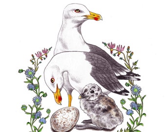 Gull Family (signed art print)