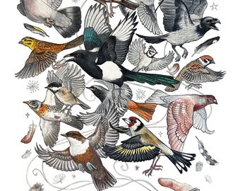 Flock (signed art print)